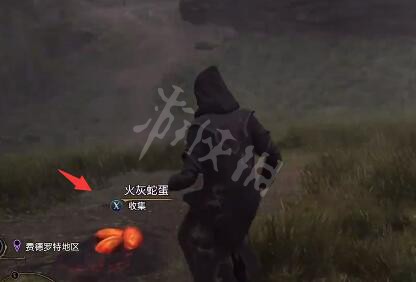霍格沃茨之遗火灰蛇蛋在哪采集-霍格沃茨之遗火灰蛇蛋获得攻略