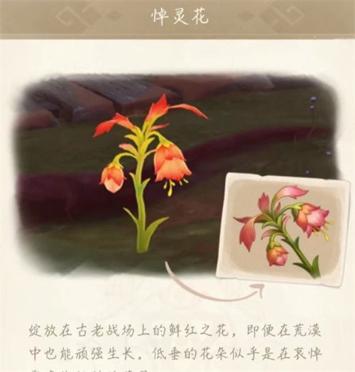原神悼灵花在哪买 原神悼灵花采集点位置路线图攻略