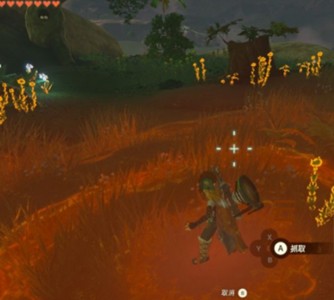 塞尔达传说王国之泪暖暖香草在哪里刷-塞尔达传说王国之泪暖暖香草购买位置攻略