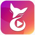 粉色视频高清在线观看大全免费