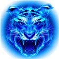 小猫直播下载