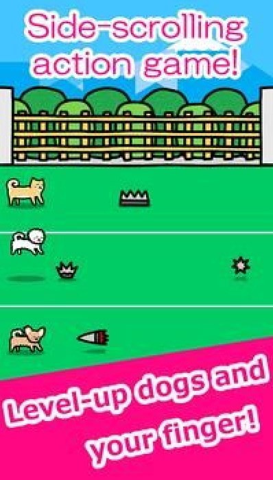 和狗一起玩(Play with Dogs)1