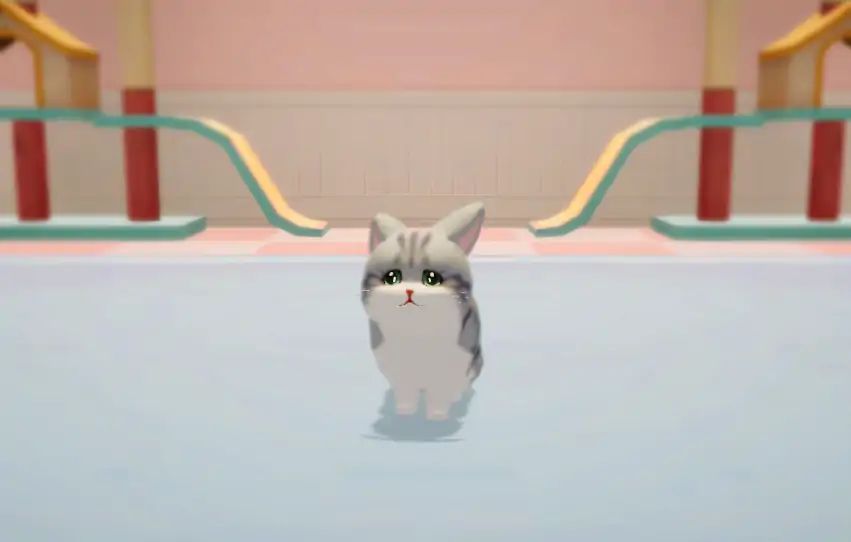 养了个猫联机版2